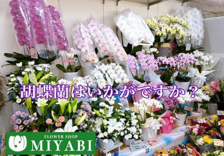 フラワーショップ『MIYABI』より♪