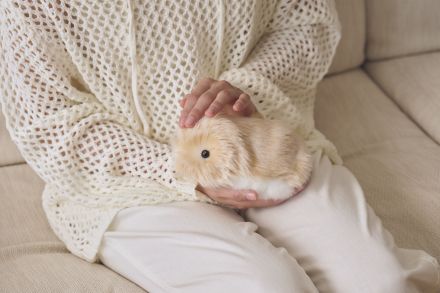 【話題沸騰中】エディオン浦添パルコシティで育てるAIペット「Moflin（モフリン）」に会える！