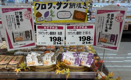 クロワッサン鯛焼きがオススメです！