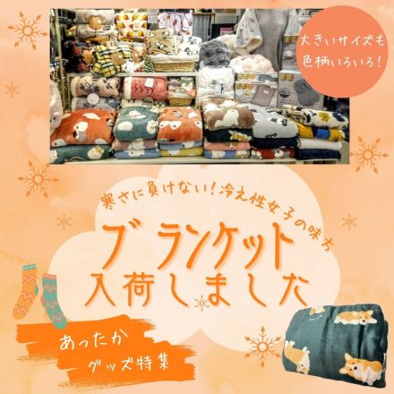 ﾌﾞﾗﾝｹｯﾄが入荷しております