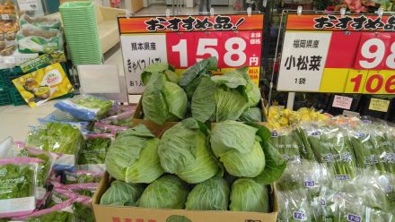 本日のおすすめは！！