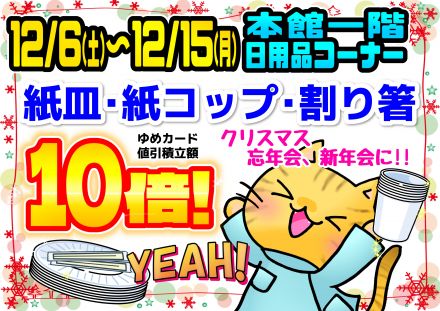 紙皿･紙コップ･割り箸がお得!!