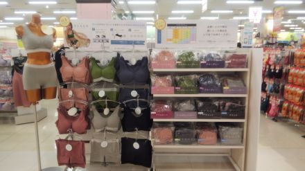 ヴィアージュナイトブラ入荷のご案内