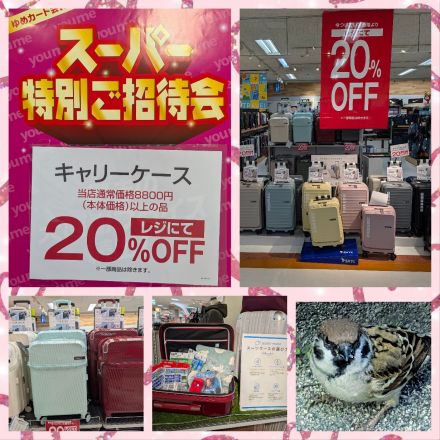 スーパー特別ご招待会のご案内です♪