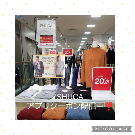 "SHUCA"お買得情報！