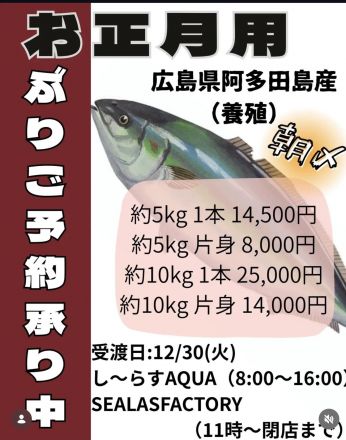 【1F シーラスファクトリー】お正月用ぶり ご予約承り中！！