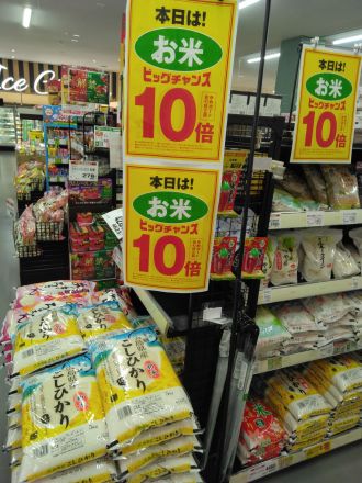 今日のお買い得情報