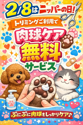 【ペットハウスマリー】2/8はニッパーの日！肉球ケア無料サービス！