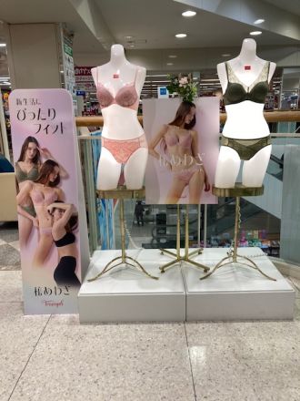 トリンプから春の新作のご案内です