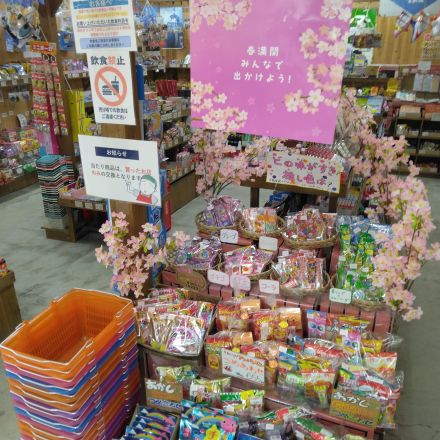 お花見に駄菓子ショップ