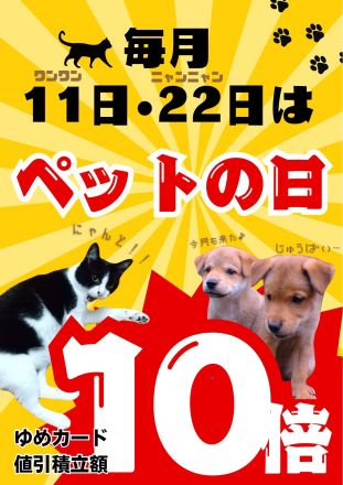 22日はペットの日！