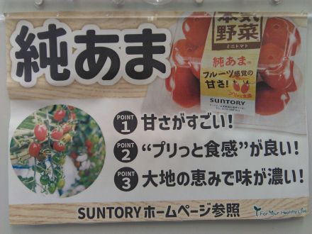 ４月５日（日）純あまミニトマト 試食行います！