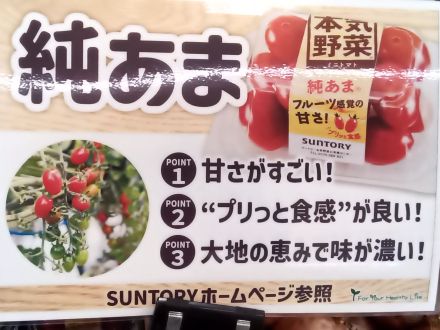 純あまトマト　試食販売