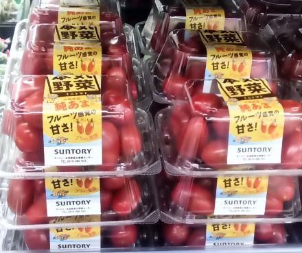 担当者おすすめ★純あまトマト