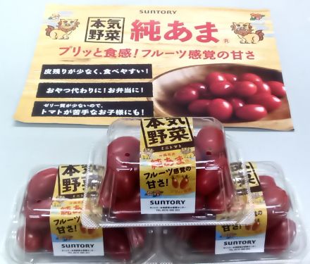 担当者おすすめ★純あまトマト