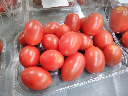 宮古島シティ　純あまトマト試食会　開催！！！