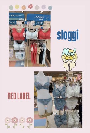 トリンプ新商品のご案内