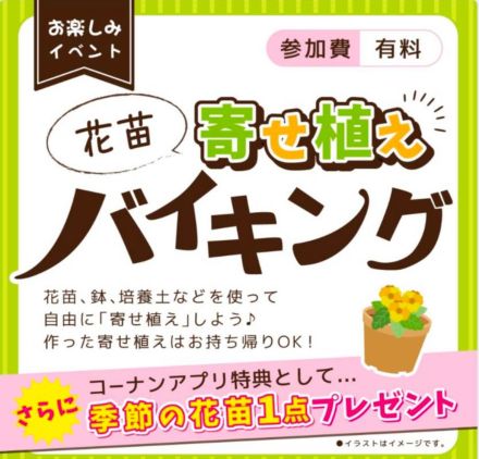 花苗寄せ植えバイキング：コーナン