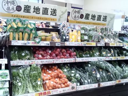 大湾シティ　産地直送野菜のお知らせ