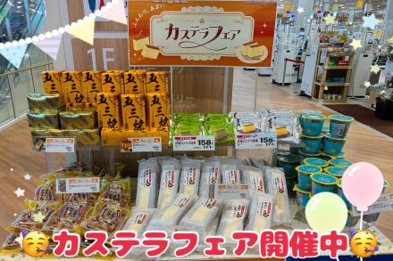 カステラフェア開催中です！