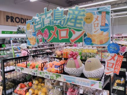 宮古島産メロン入荷しました！