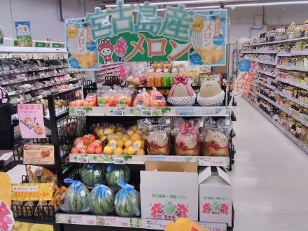 宮古島産メロン入荷しました！