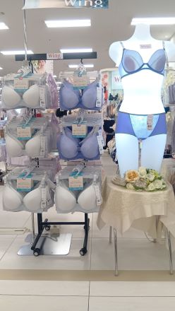★ワコール・ウィング★5月オススメ商品