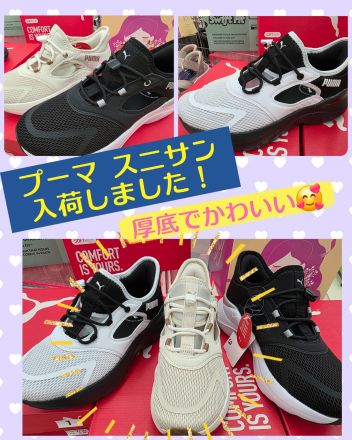 プーマ スニサン入荷しました！