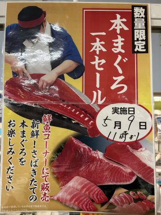 5/9(土) まぐろ解体実演販売開催します！