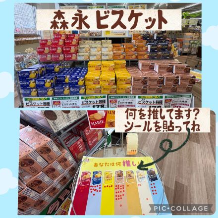森永　ビスケット
