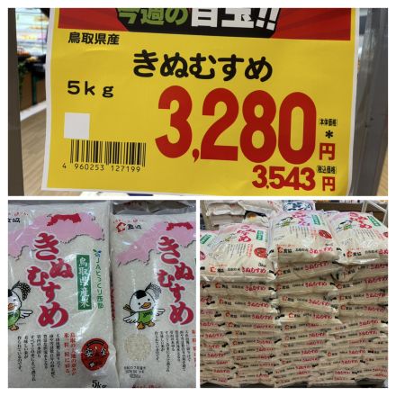 お買い得なお米のお知らせ！