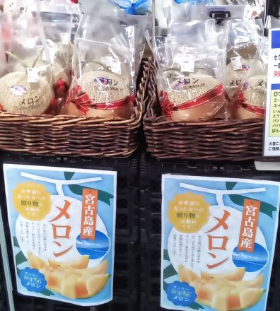 宮古島産◆赤肉メロン