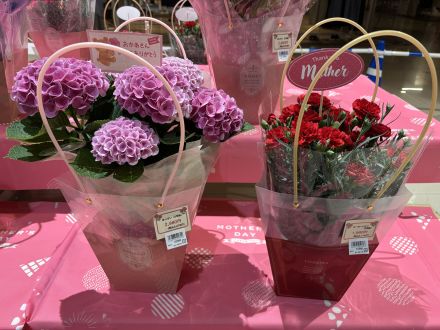 【母の日】ありがとうの気持ちを、お花とギフトに込めて