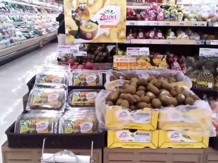 サンゴールドキウイ試食販売！！