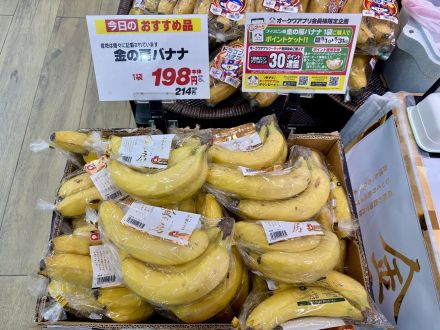 『金の房バナナ』本日、試食販売しています！オークワ春日井店_