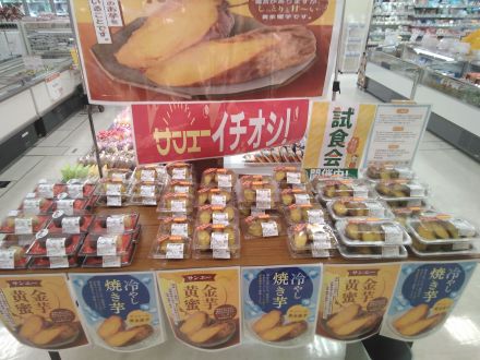本日(5/23)黄金蜜芋、試食販売しています！