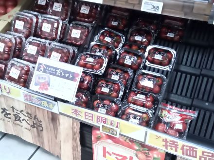 大湾シティ　試食販売のご案内