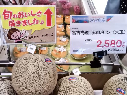 大湾シティ　試食販売のご案内