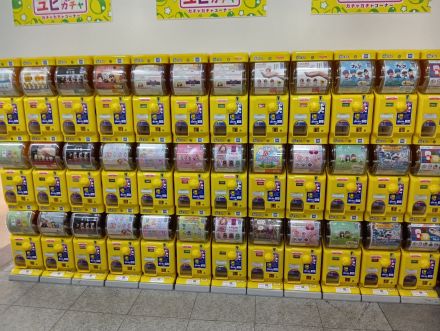 あら、かわいいよ〜！オークワにぴより〜な来たんやいて。みんなで見に来てよ〜。」_