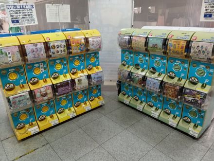 あら、かわいいよ〜！オークワにぴより〜な来たんやいて。みんなで見に来てよ〜。」_