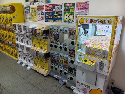 あら、かわいいよ〜！オークワにぴより〜な来たんやいて。みんなで見に来てよ〜。」_