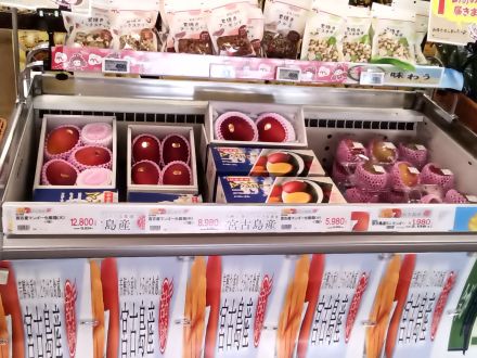 宮古島産マンゴー入荷しました!!!