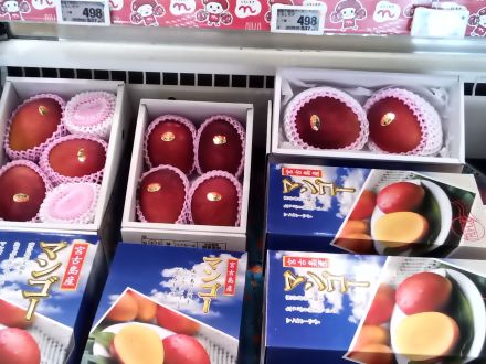 宮古島産マンゴー入荷しました!!!