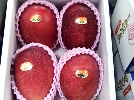 宮古島産マンゴー入荷しました!!!