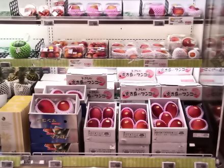 宮古産マンゴー入荷しました！
