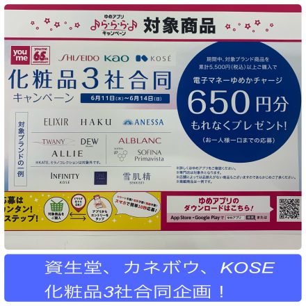 化粧品3社合同企画　ゆめかチャージ650円プレゼント！