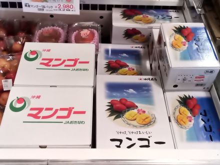 沖縄県産マンゴー入荷のご案内
