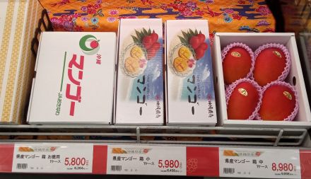 V21食品館 繁多川店｜株式会社サンエー