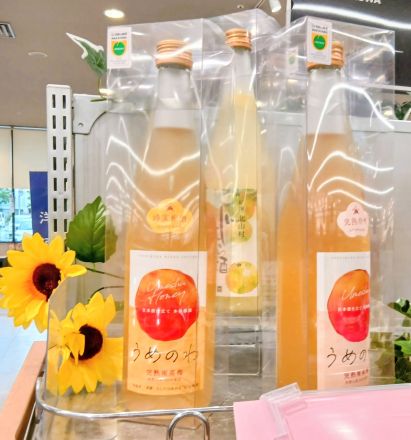 ☆和歌山の恵みを味わう果実酒、勢ぞろい☆_
