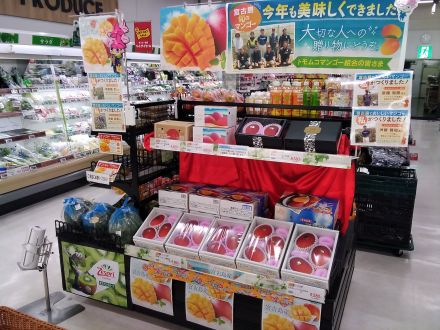 宮古島産マンゴー入荷しました！